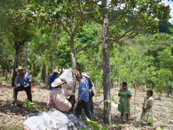 The development of new Maya agricultural practices